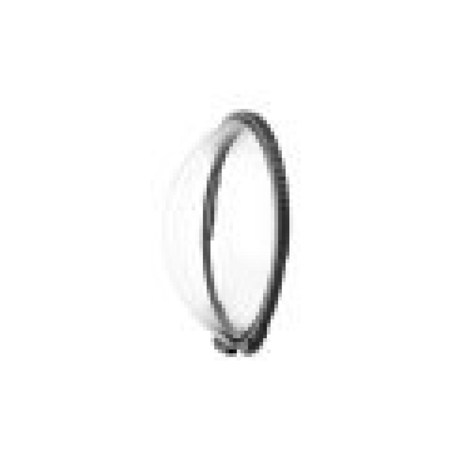 Insta360 X4 Premium Lens Guards